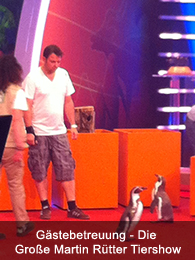 Gästebetreuung - Die Große Martin Rütter Tiershow Gästebetreuung - Die Große Martin Rütter Tiershow